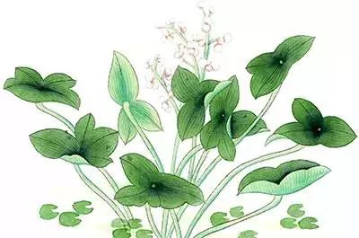 比心！高新区孵化器完成国家年度“大考”！高新区的创意由ta们守护！