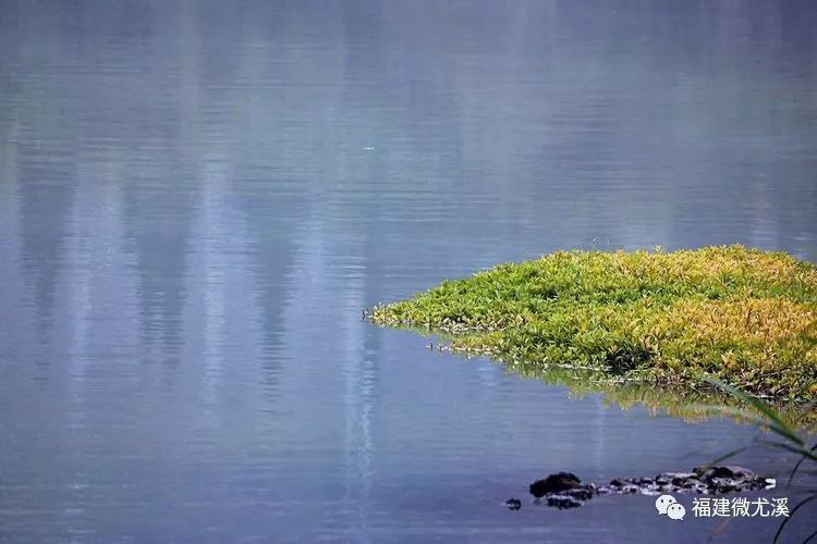 尤溪夏天旅游,关于尤溪的风景介绍