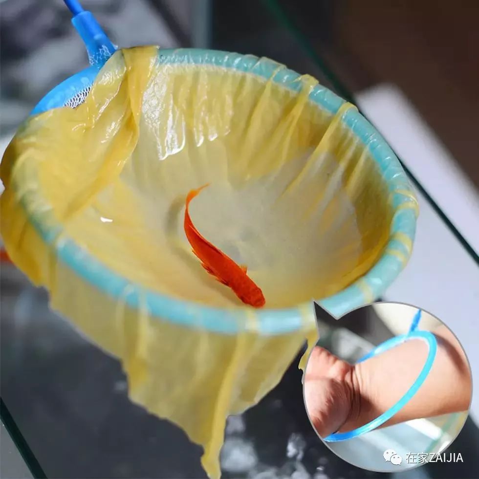 有一股臭臭的味道是怎么回事,家里又脏又臭的抹布