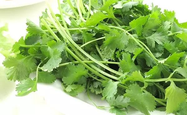 学会了这四招基本不会感冒,教你一招感冒立马解决