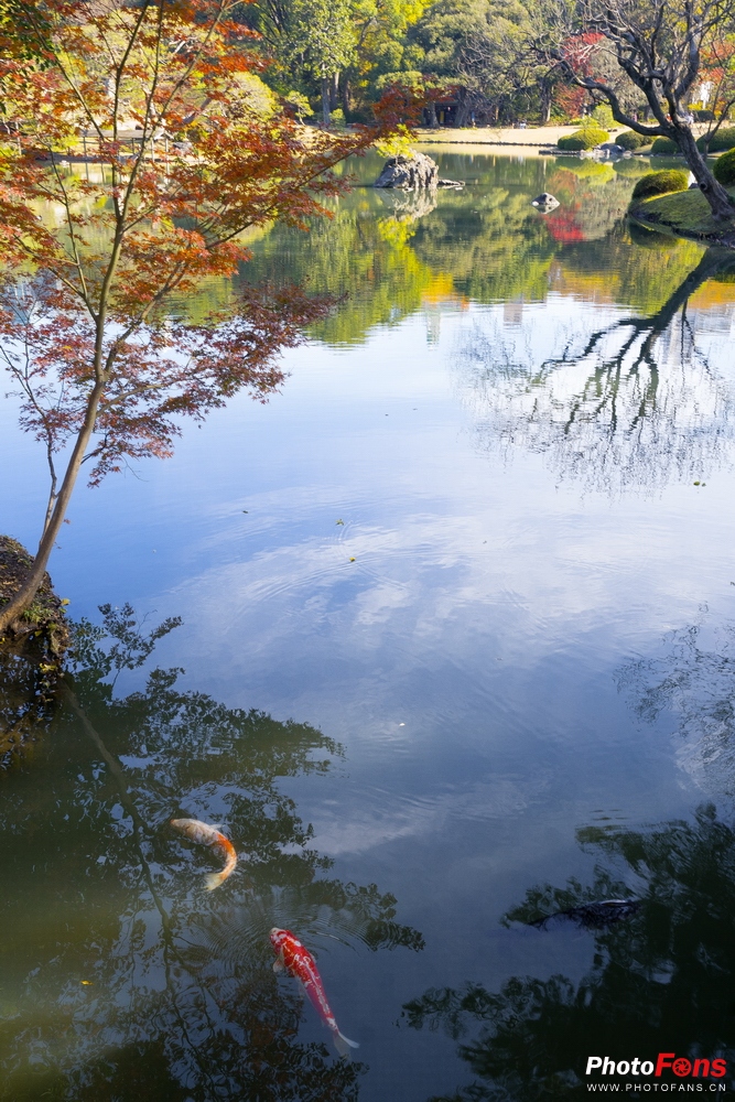 eosm6杩炵画鎷嶆憚,浣宠兘eosm6