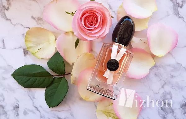 chaneldiorysl,diorysl鍦ｈ癁绀肩洅