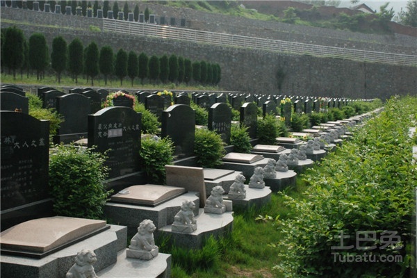 墓地风水学图解知识大全,墓地风水学知识详解