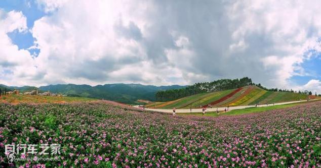 恋上一座城,走过一条路恋上一座城