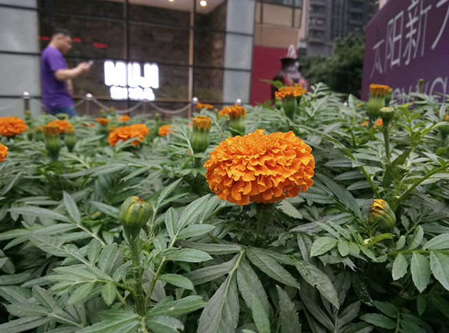 全面升级评测,魅蓝note升级体验