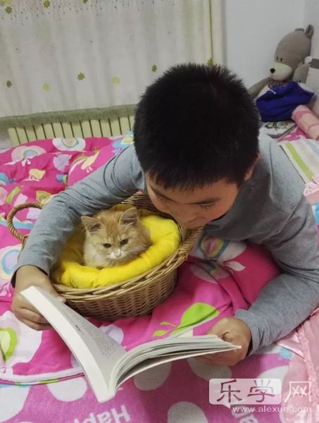 我的家教故事作文,我的家教故事家长征文美篇