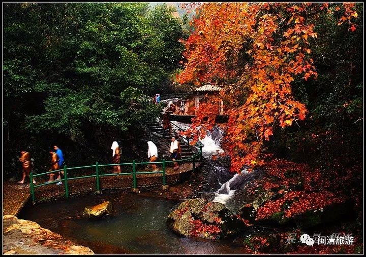 黄楮林温泉度假村有没有独栋,黄楮林和大明谷温泉哪个好