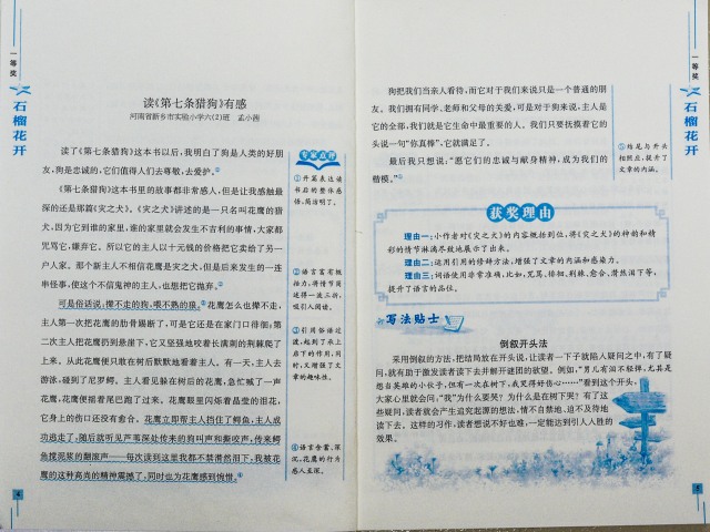 2017全解杯作文比赛,全解杯作文大赛