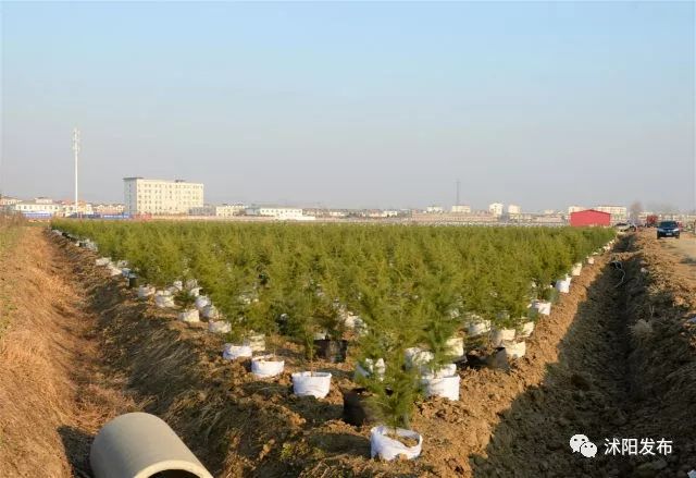 聆听发展铿锵之音，感受花乡强劲脉动！