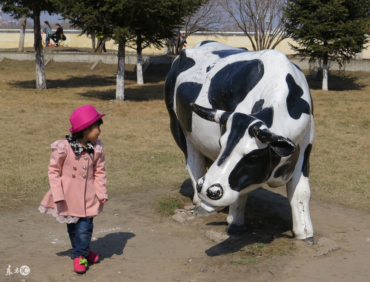 自繁自养奶牛养殖的利润杀手-奶牛不孕的原因分析及防治措施！