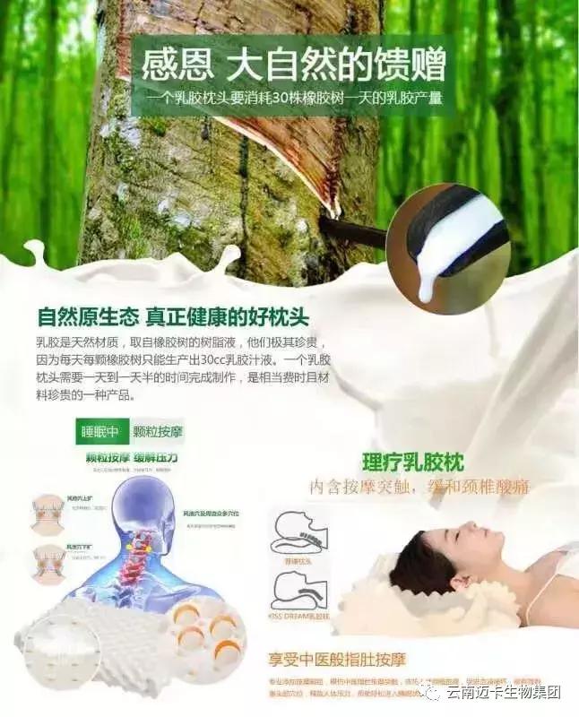 泰国皇家乳胶官网,泰国乳胶枕头骗局