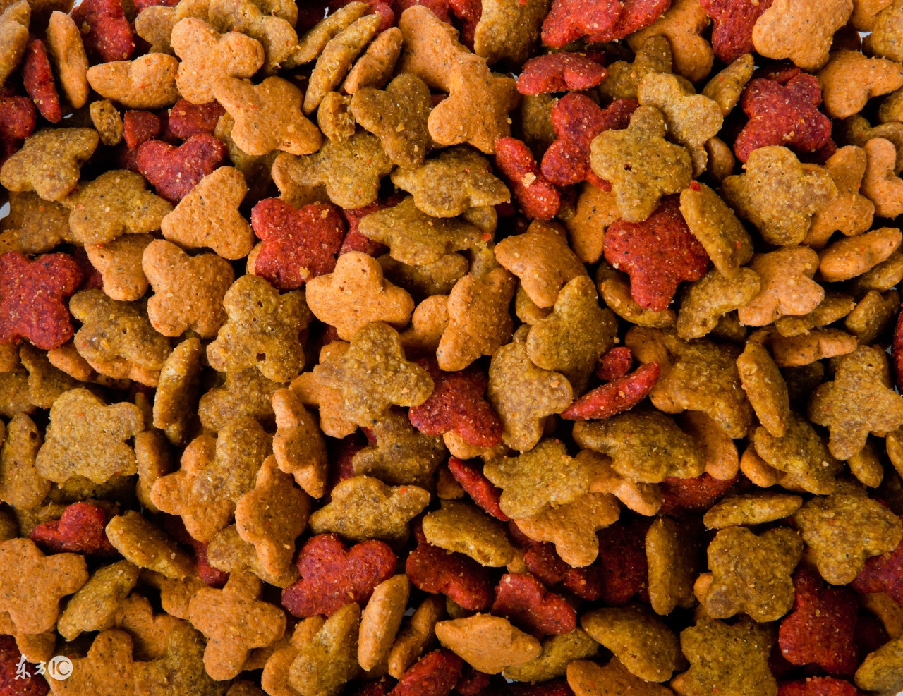 家里有几种猫粮可以混着吃吗,家里几种猫粮可以混着吃吗