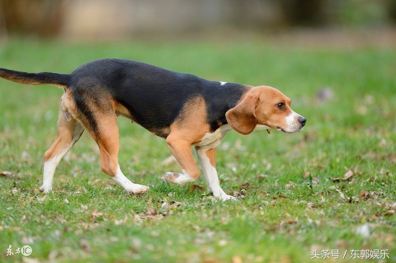 让你惊呆的5个冷知识,匪夷所思的冷知识