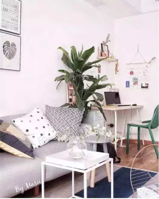 爱种花的姑娘,爱养花的女人都想把生活过的精致