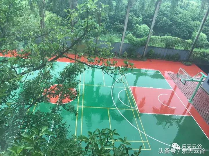 元旦南沙去哪里玩,南沙黄山鲁森林公园游玩攻略