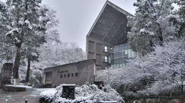 川美，看起不像是读书的地方