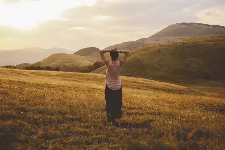 专科的第一学历是大专吗,我的第一学历