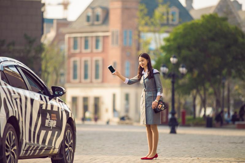 斑马闯入城镇,斑马跑起来