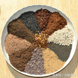 为何总种不好多肉?深扒多肉颗粒土那点事儿