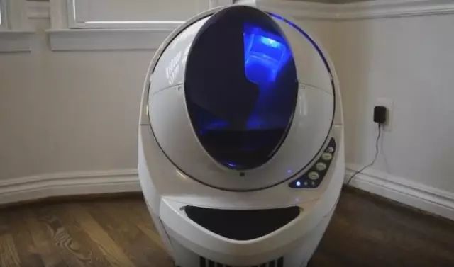 养猫如何不铲屎,什么猫不用铲屎呢