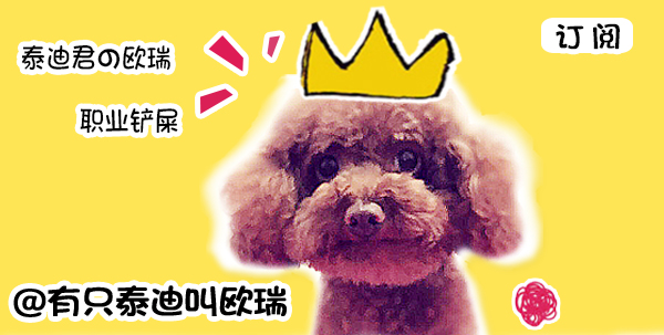 这位猫奴真是令人羡慕嫉妒恨，因为他家猫咪会用抺布地擦地板