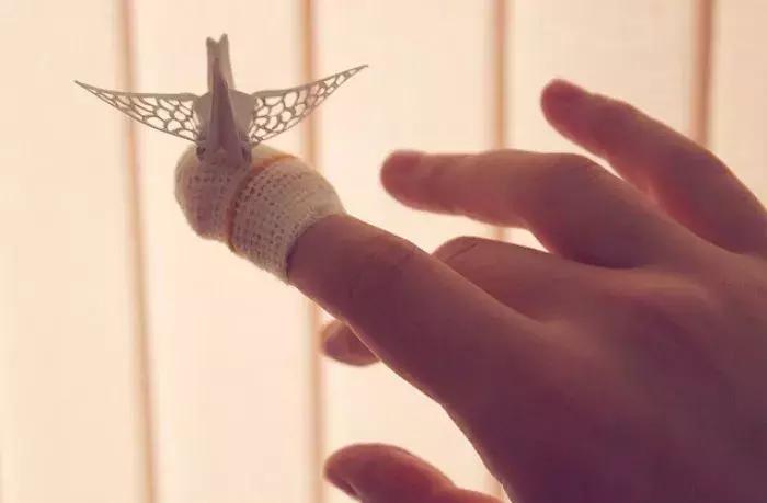 他用3个月时间，折叠了1000只千纸鹤，送给了他最亲爱的姑娘