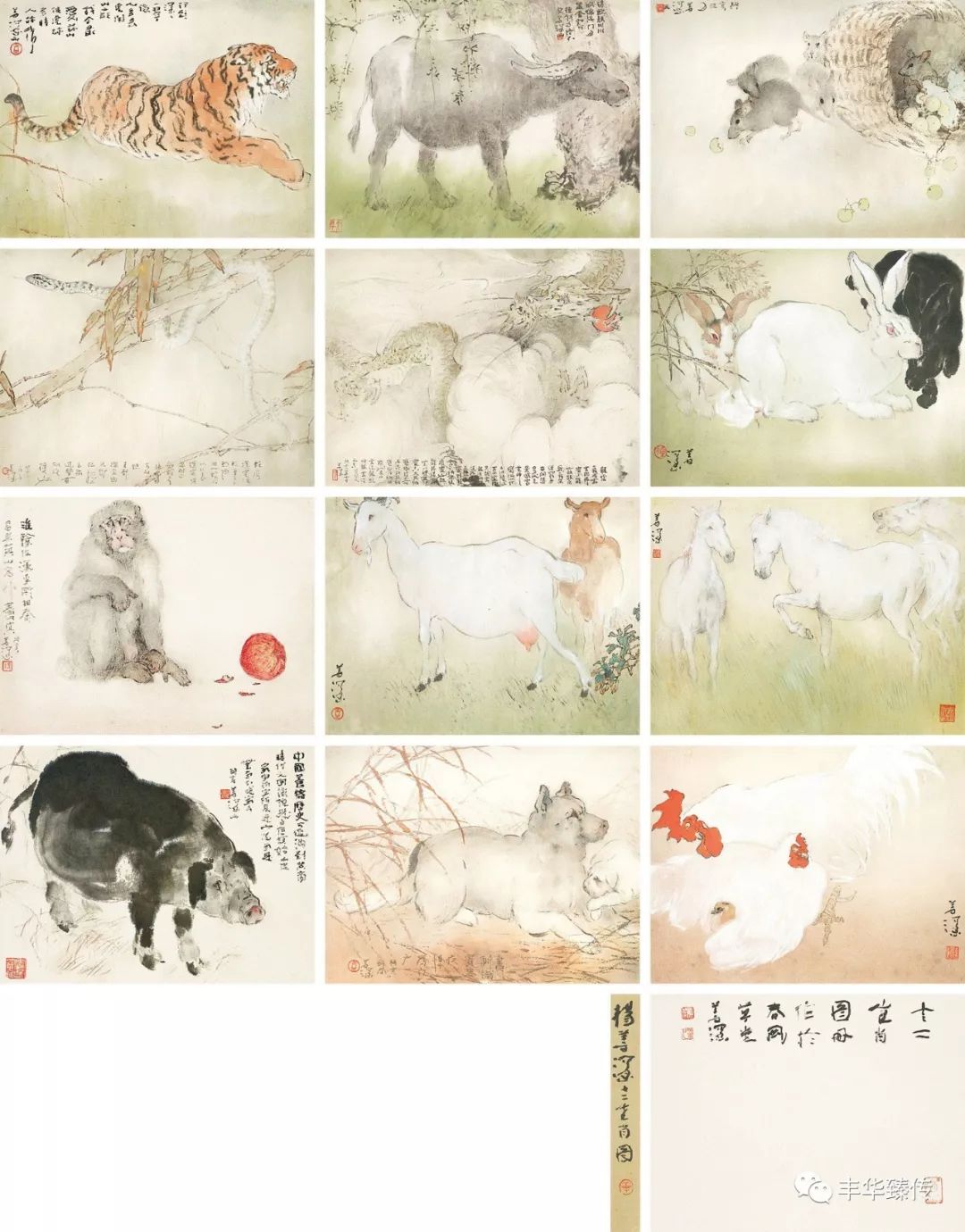 帽哥直播回放完整版最新,帽哥直播最新回放完整版