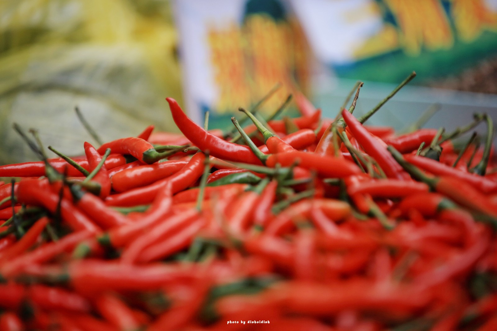 天等小记-登一座山爱一座城看一片天等日夕晨