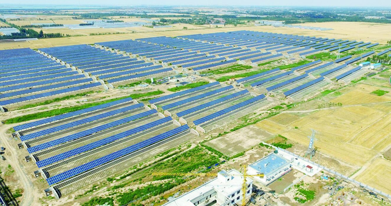 节约肥料，提高产量，你离致富就差这一种技术