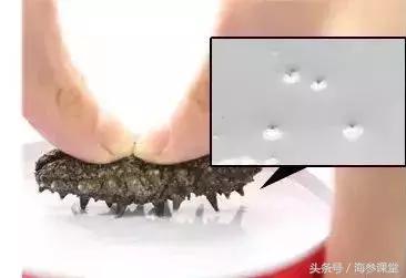 如何挑选海参才最好,怎么选择最好的海参