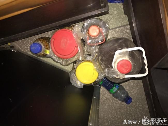 学钓鱼没点狠劲还真不行,鱼竿教学入门零基础野钓