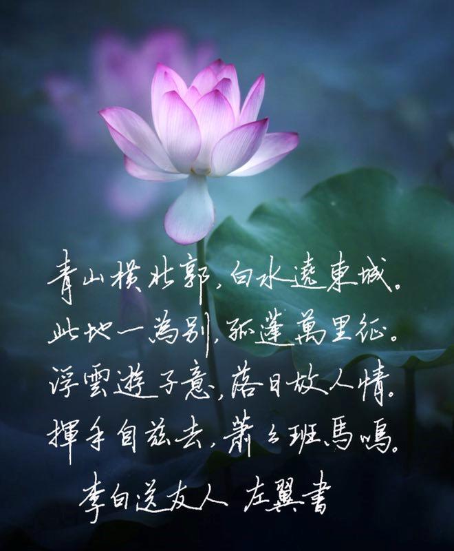 秋天的思念夏天的告别,秋天的再见冻结成寒冬下一句