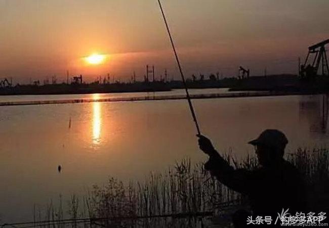 钓鱼圈天赋,学钓鱼从零开始野钓选鱼钩