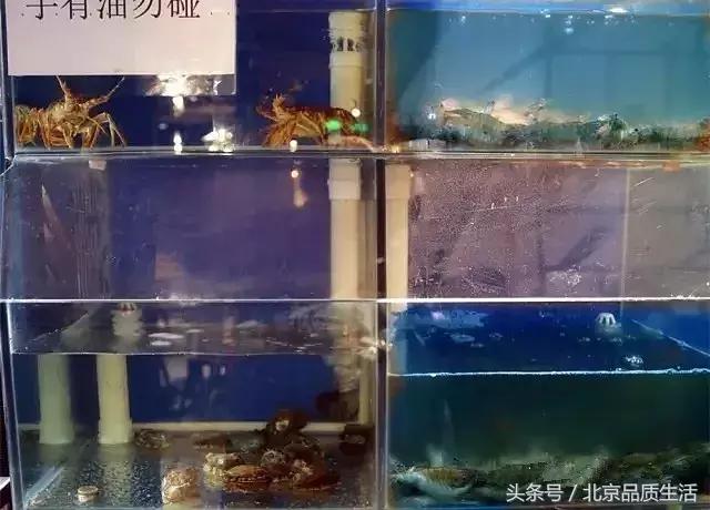 来北京下馆子就点这6道菜,第一次来北京去哪几家餐厅吃饭