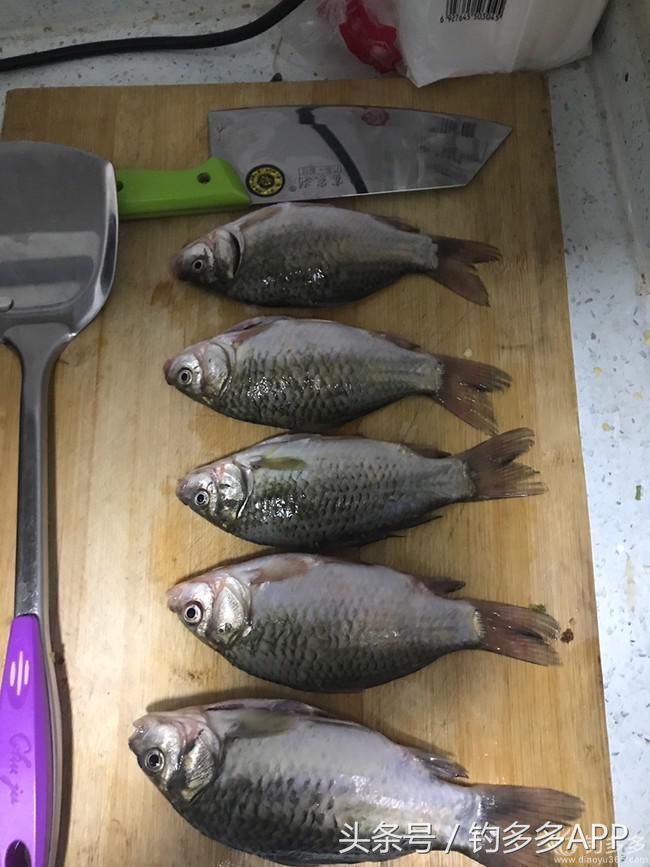 钓鱼圈天赋,学钓鱼从零开始野钓选鱼钩