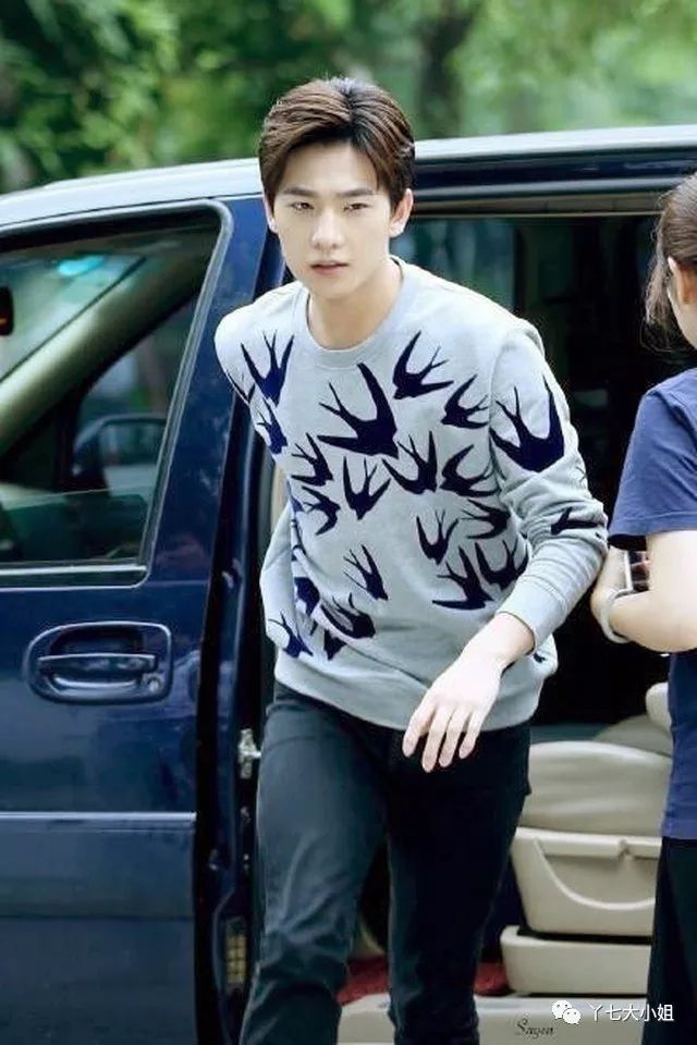 各种动物卖萌,时尚圈流行的动物元素