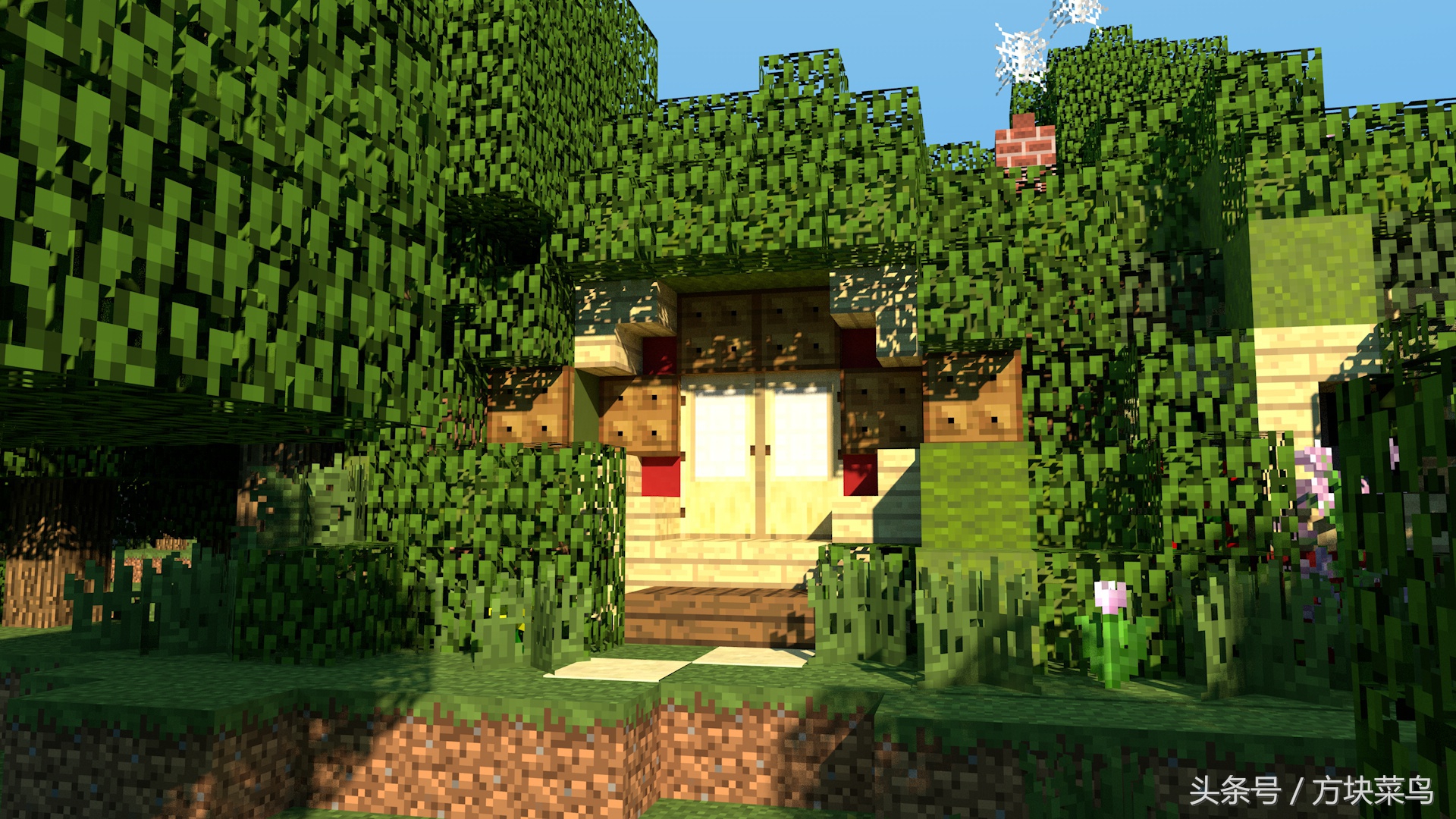 我的世界mc菜鸟模式,mc我的世界菜鸟生存攻略