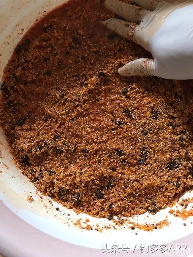 新手钓鱼一学就会,学钓鱼没点狠劲还真不行