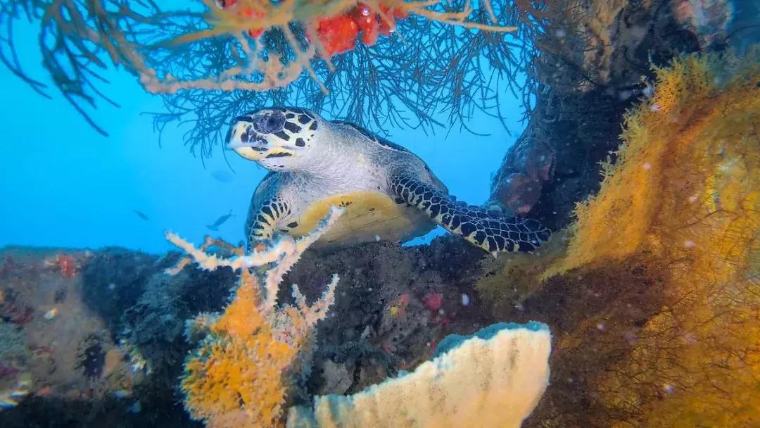 东南亚旅游性价比最高推荐哪里,东南亚最适合穷游的10个美景地