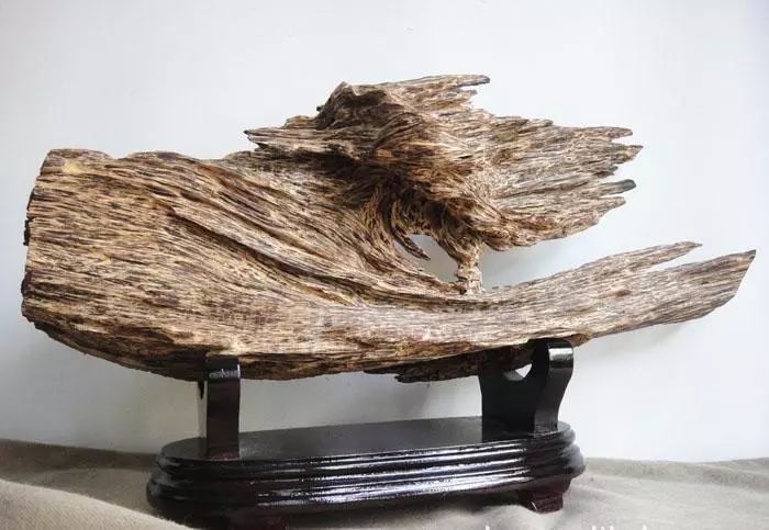 海南尖峰岭沉香与奇楠香谁更好,奇楠沉香火孔造香价值