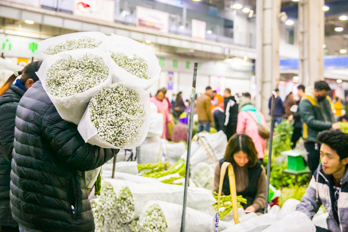 中国最大的花卉交易市场是哪里,中国最大鲜花交易市场