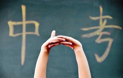 小学生常用成语500个及其解释,小学语文成语辨析大全