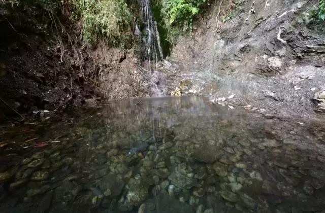 无量山樱花谷夏天,无量山樱花谷雾里看花