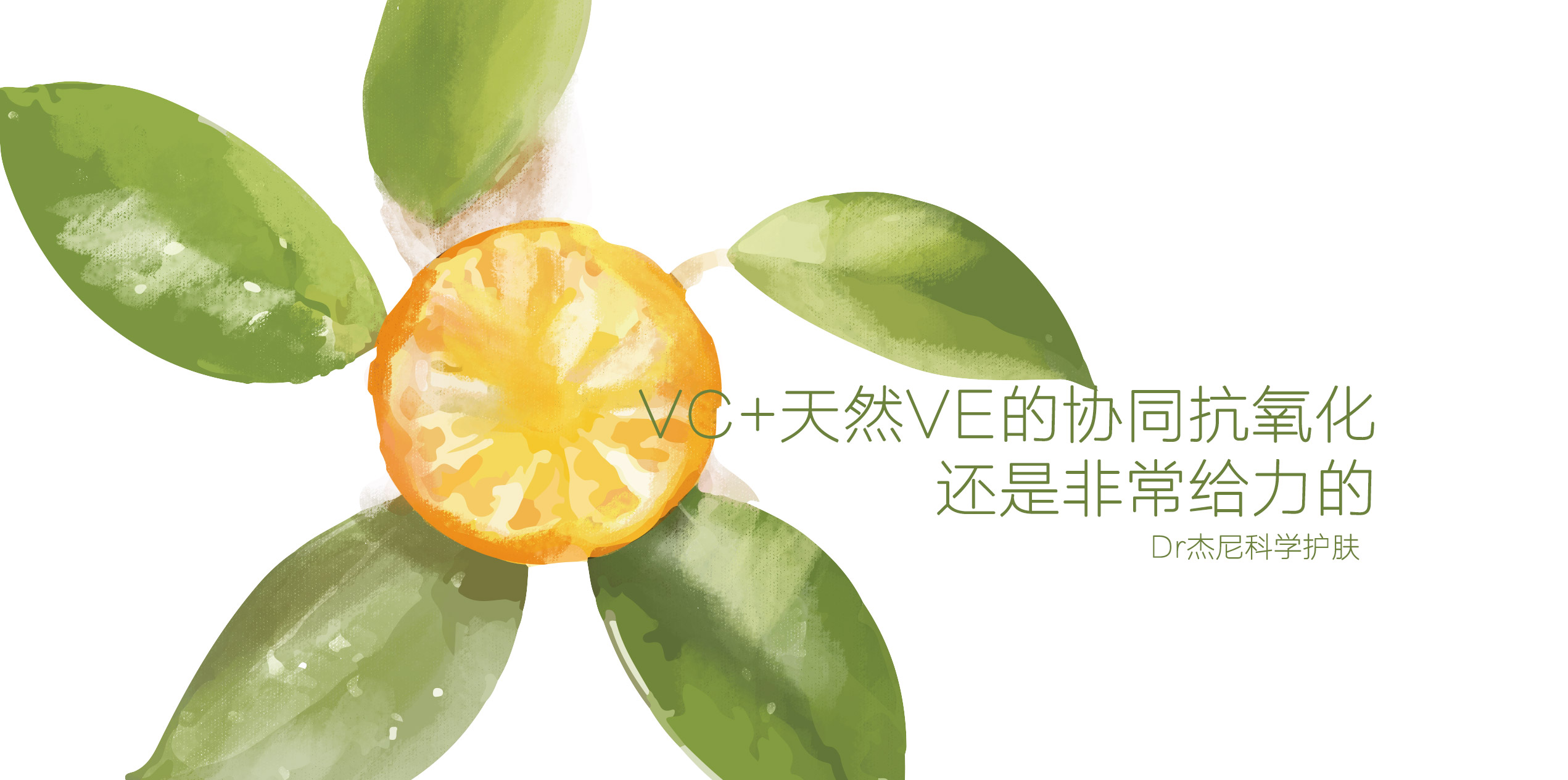 抗氧化为什么用vc,为什么要抗氧化和清除自由基