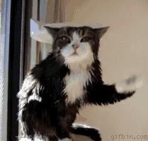 关于四六级的吐槽,今年四六级吐槽