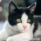 大家都是用的气垫,凭什么就她辣么美?!