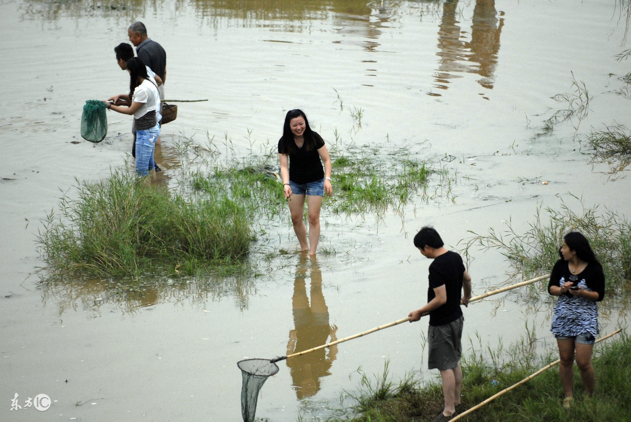 怎样烤鱼又简单又好吃木炭,出门带的野餐炉子