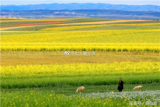 固阳县野秦长城,内蒙古包头固阳长城