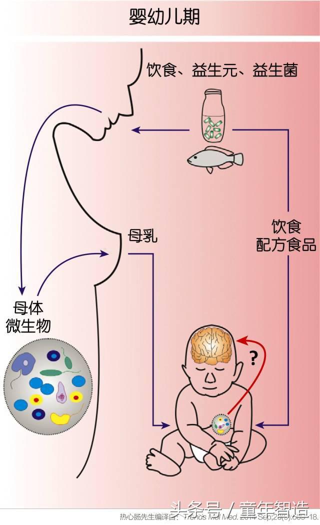 科学养娃真的科学么,科学有用常识小知识