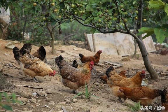 让你快速赚钱的五个生意,让你赚钱发财的12个方法